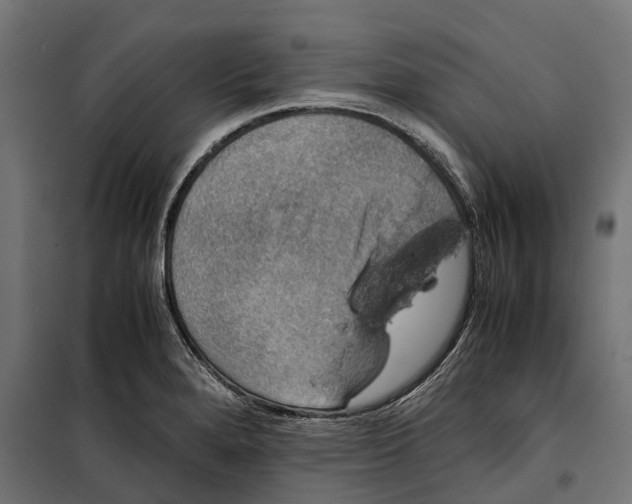 X0000099991280200806201440