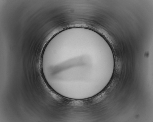 X0000099991282200806201440