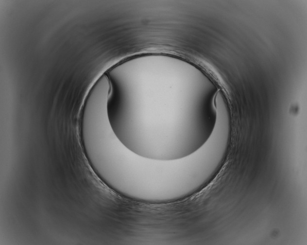 X0000099991284200806201440