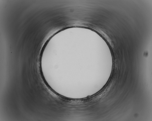 X0000099991285200806201440