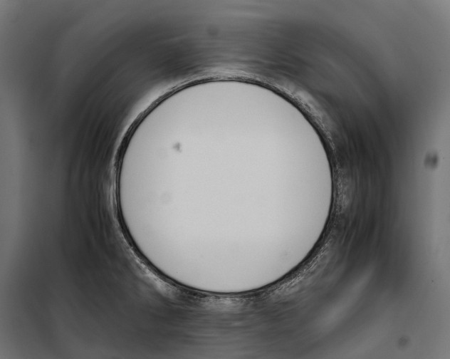 X0000099991286200806201440