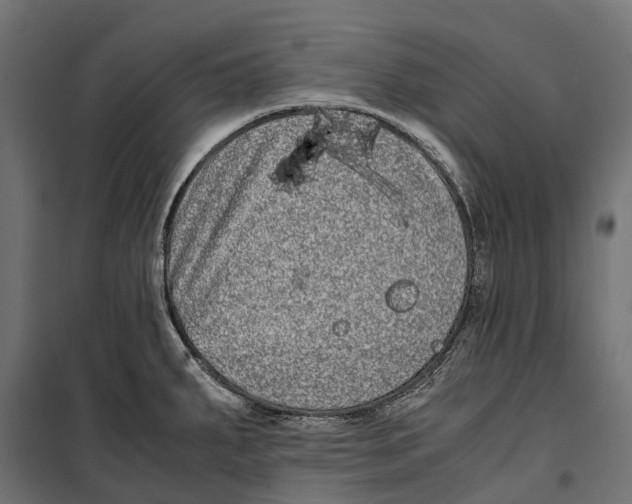 X0000099991287200806201440