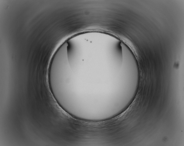 X0000099991288200806201440