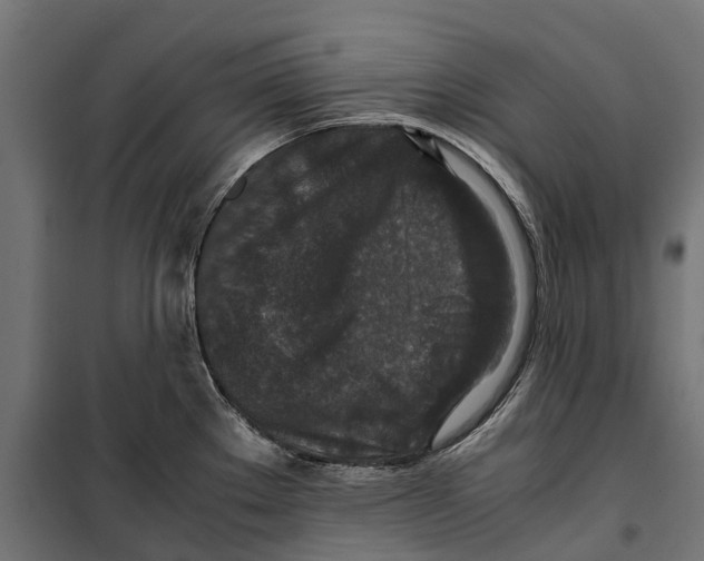 X0000099991289200806201440