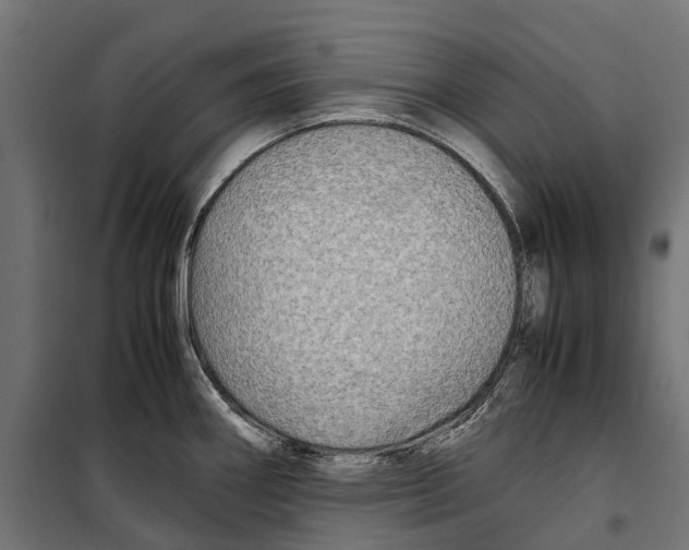 X0000099991290200806201440