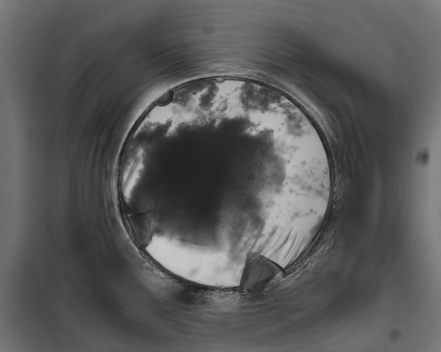 X0000099991291200806201440