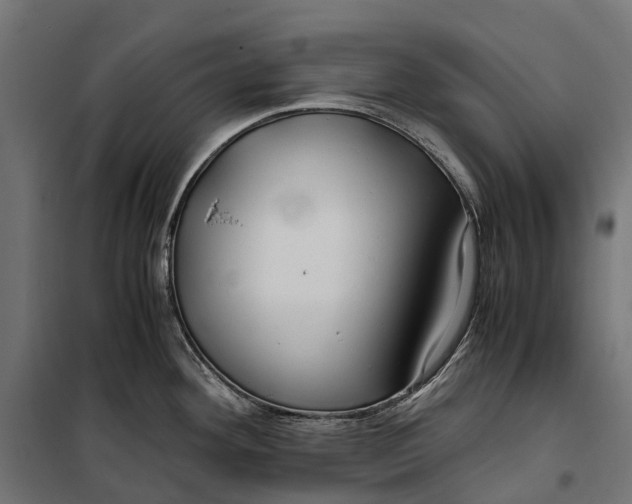 X0000099991292200806201440