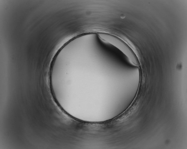 X0000099991293200806201440