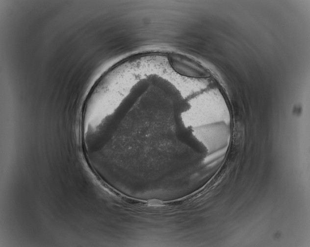 X0000099991295200806201440