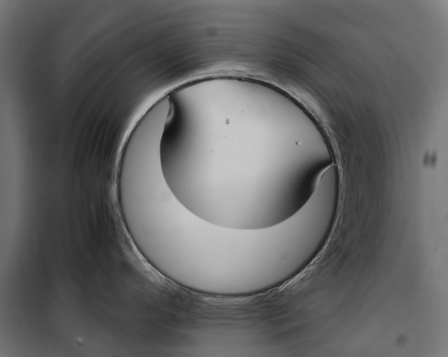 X0000099991296200806201440