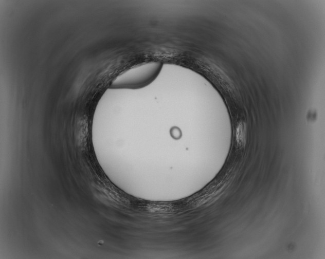 X0000099991299200806201439