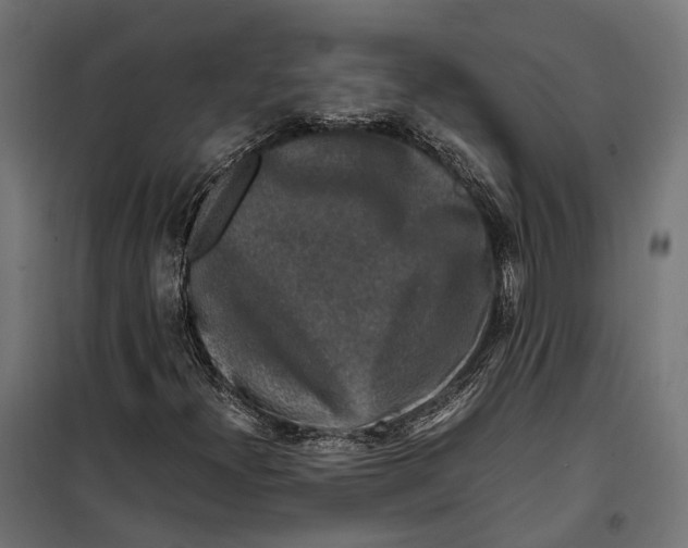 X0000099991300200806201439