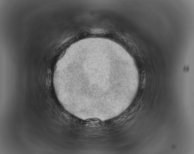 X0000099991301200806201439