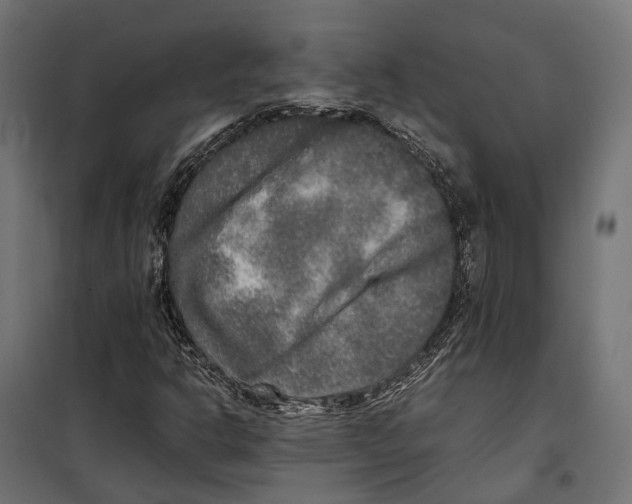 X0000099991302200806201439