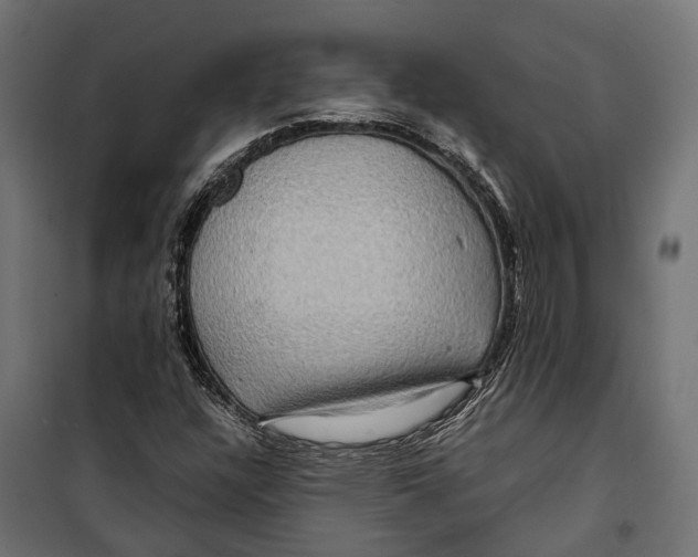 X0000099991304200806201439