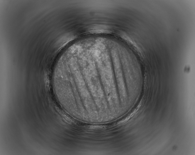 X0000099991305200806201439