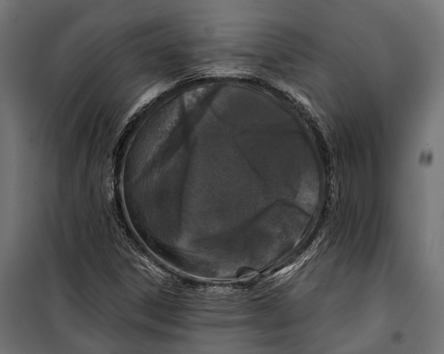 X0000099991306200806201439