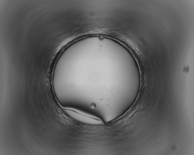 X0000099991308200806201440