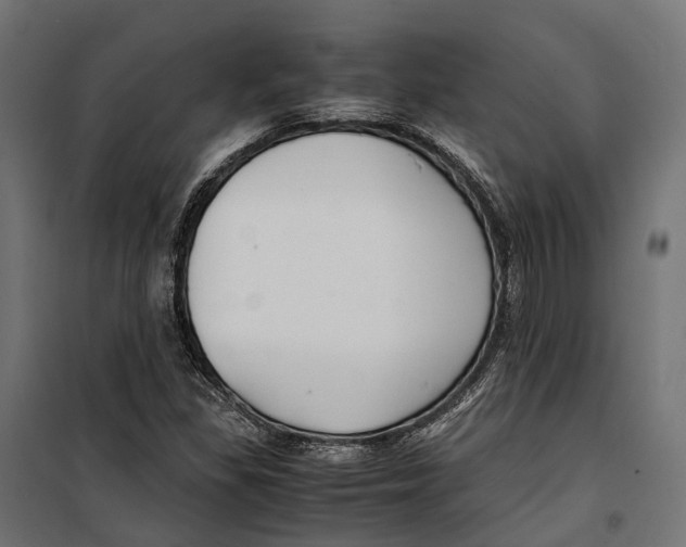 X0000099991309200806201440