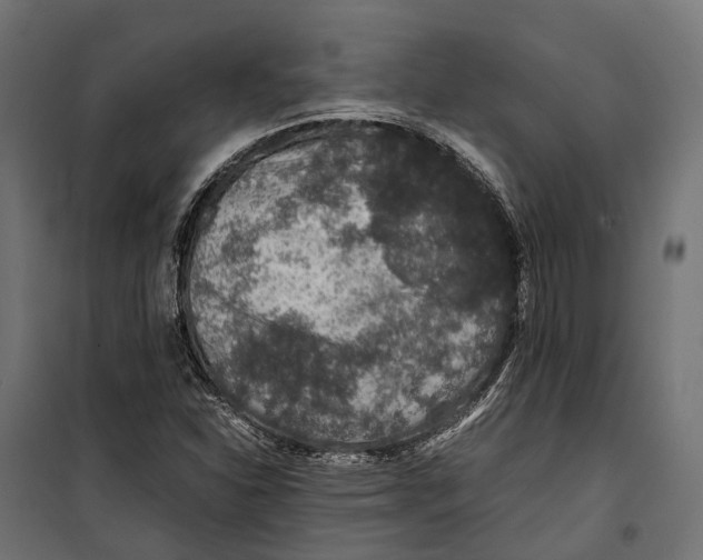 X0000099991310200806201440