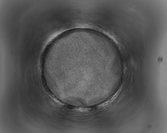 X0000099991311200806201440