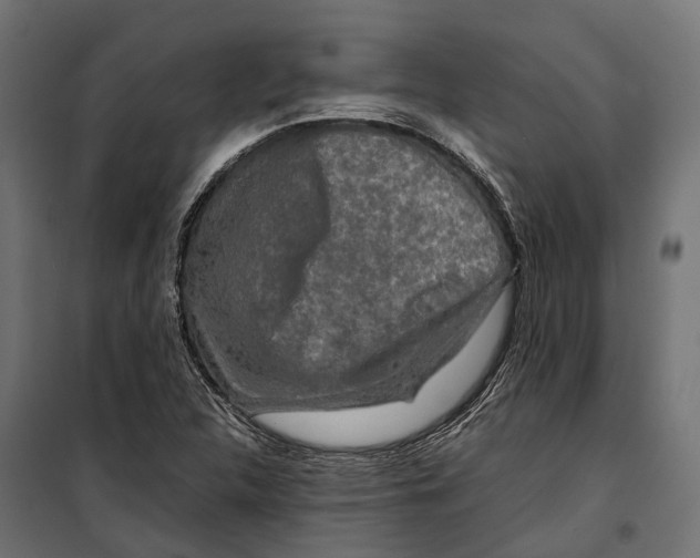 X0000099991312200806201440