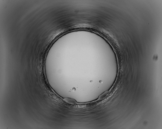 X0000099991313200806201440