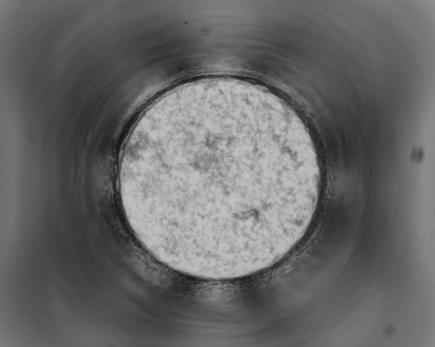 X0000099991314200806201440