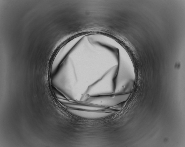 X0000099991316200806201440