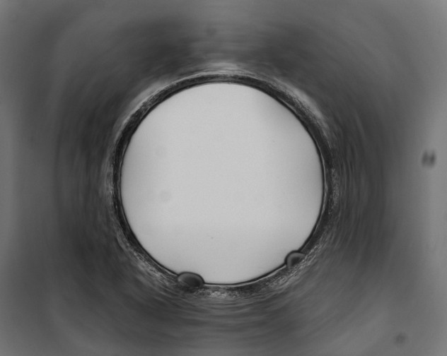 X0000099991318200806201440