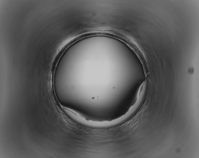 X0000099991320200806201440