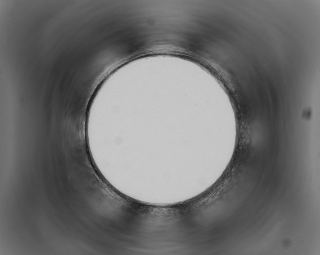 X0000099991322200806201440