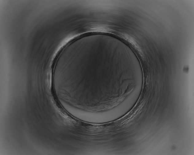 X0000099991323200806201440