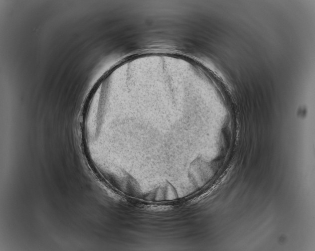 X0000099991325200806201440