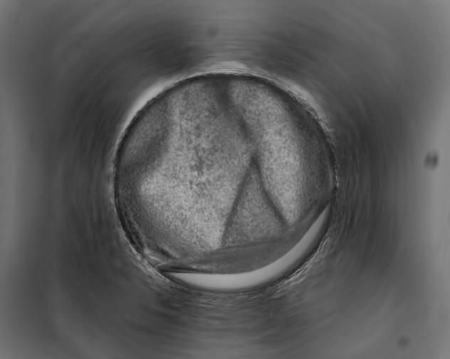 X0000099991326200806201440