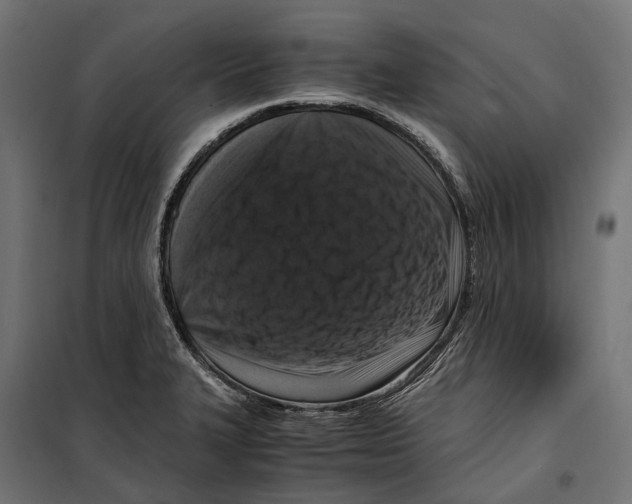 X0000099991327200806201440