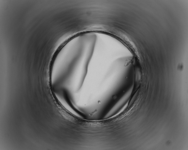 X0000099991328200806201440