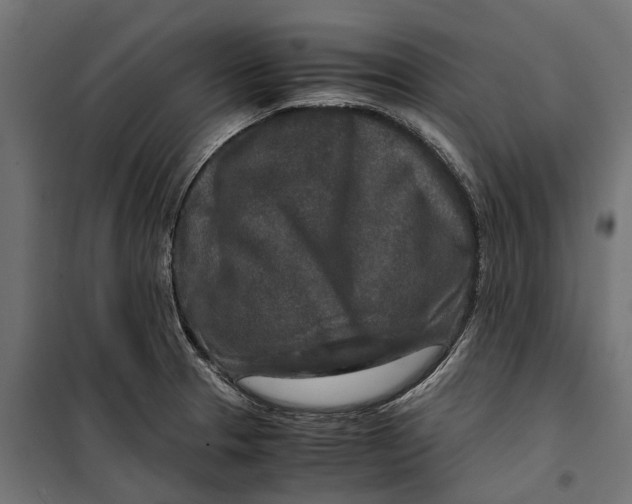 X0000099991329200806201440