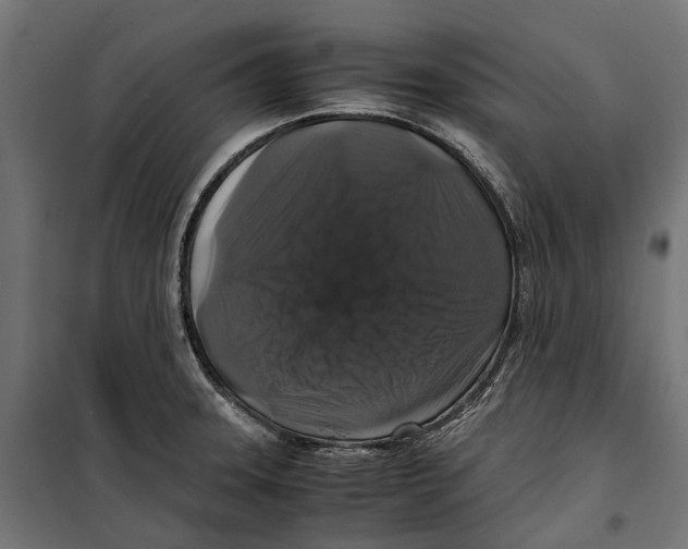 X0000099991331200806201440