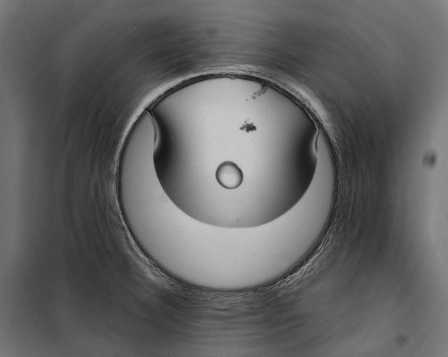 X0000099991332200806201440