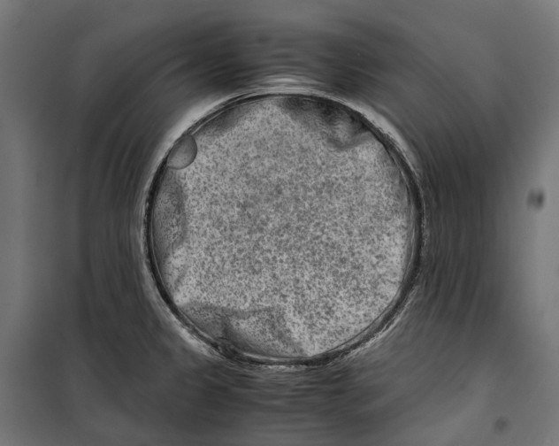 X0000099991333200806201440