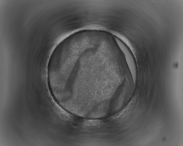 X0000099991335200806201440