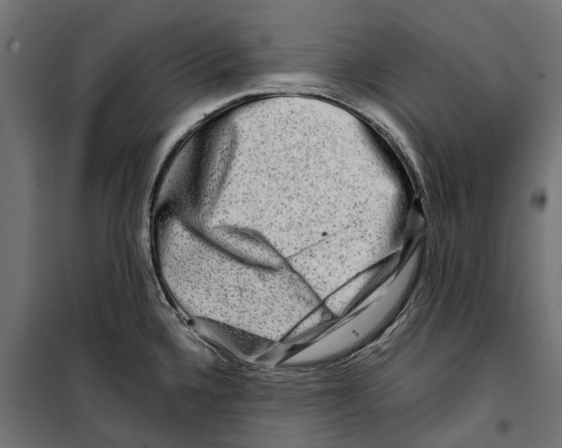 X0000099991336200806201440