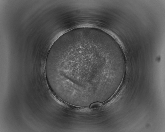 X0000099991337200806201440