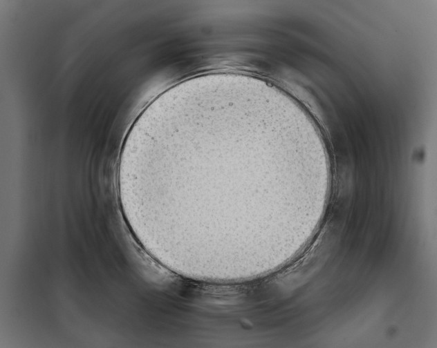 X0000099991338200806201440