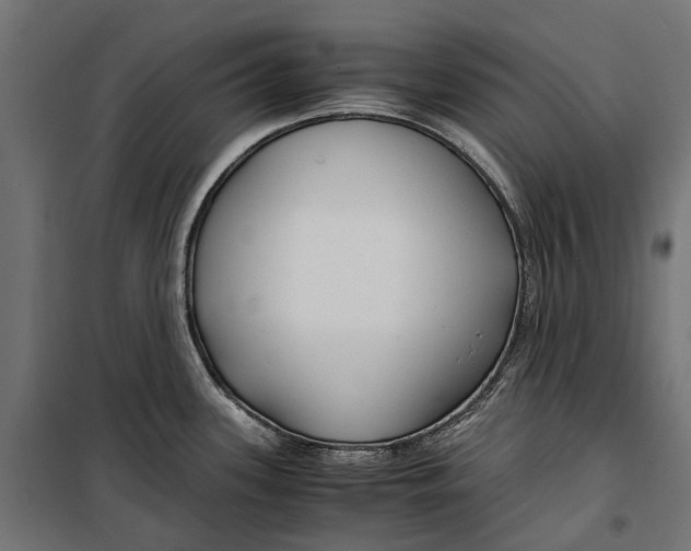 X0000099991339200806201440