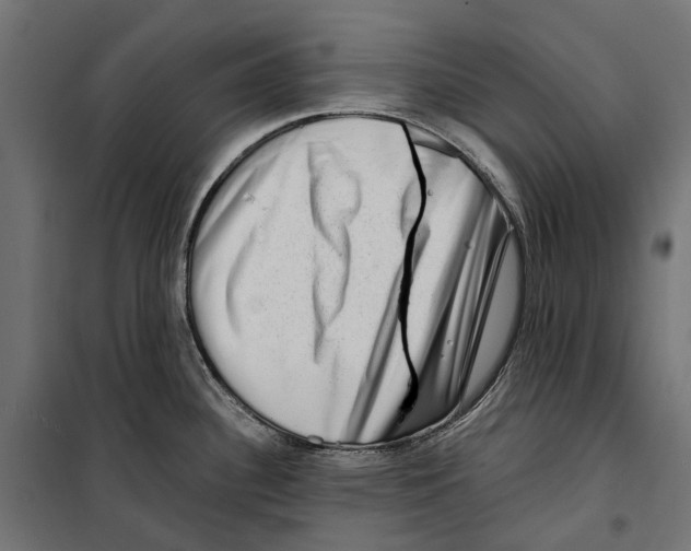 X0000099991340200806201440