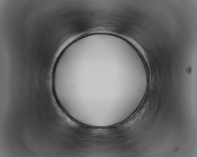 X0000099991341200806201440