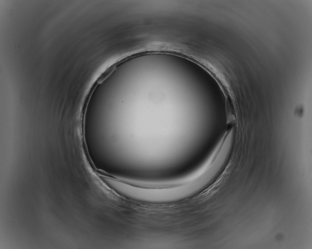 X0000099991342200806201440