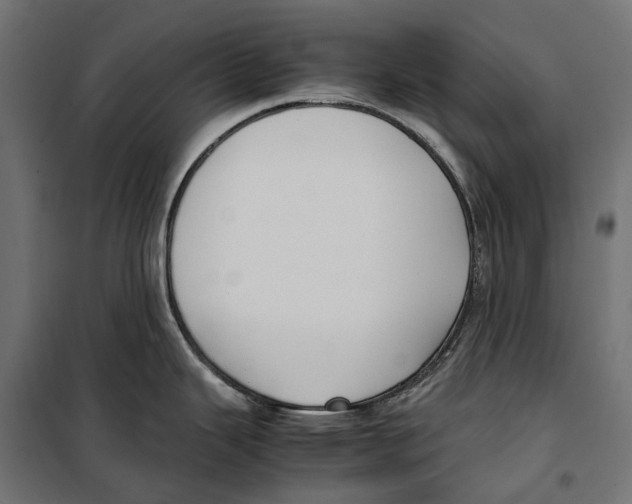 X0000099991343200806201440